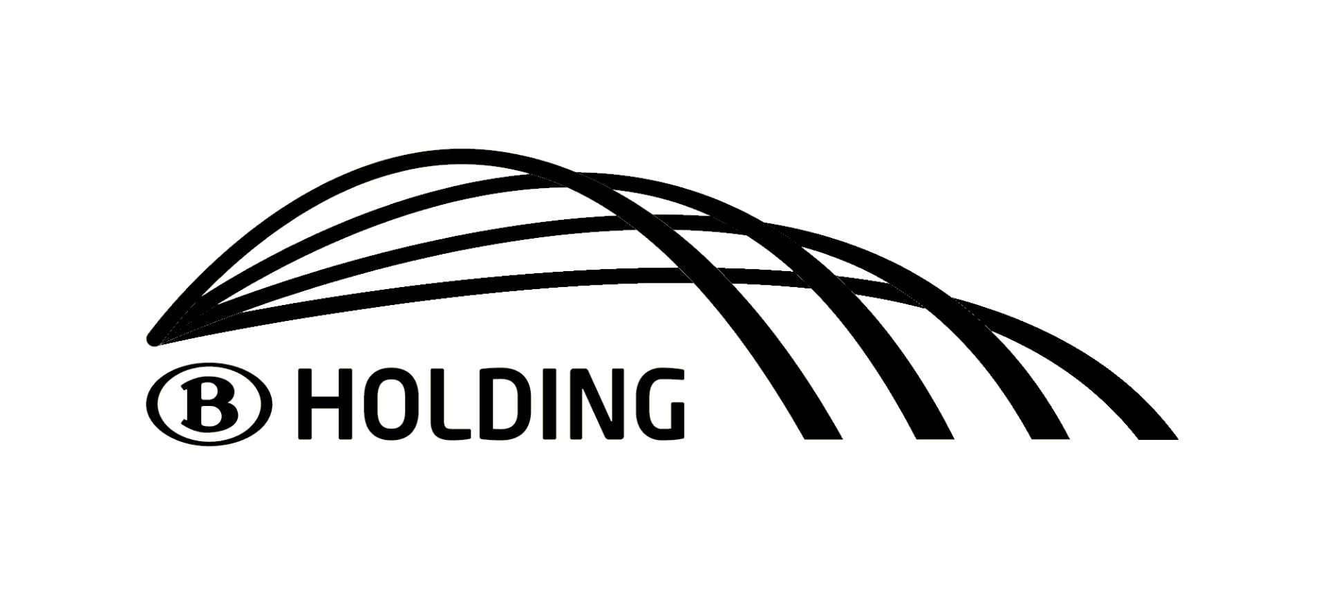 NMBS Holding